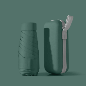 Umbrella With Storage Case - Gree