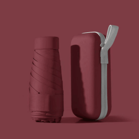 Umbrella With Storage Case - Burgandy