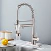Kitchen Faucet with Pull Down Sprayer